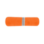 Orange Burst