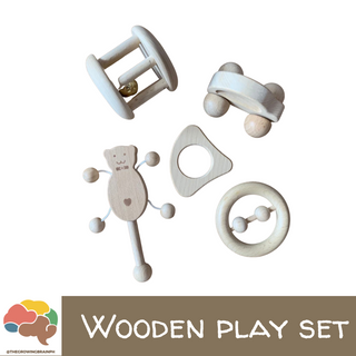The Growing Brain PH Wooden Play Set
