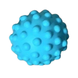 The Growing Brain PH Sensory Balls