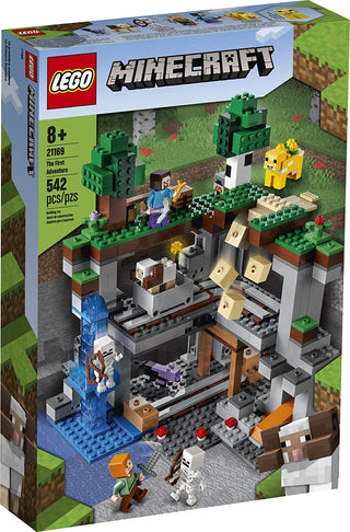 Special Collections LEGO Minecraft - 21169