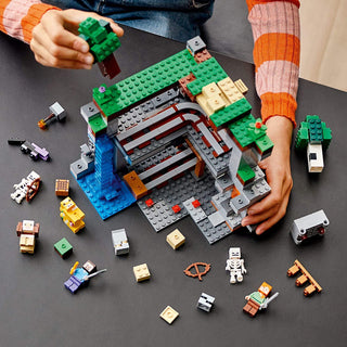 Special Collections LEGO Minecraft - 21169